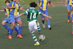 mk体育-中国足球外援依赖度趋势分析，中国足球外援依赖度趋势分析图